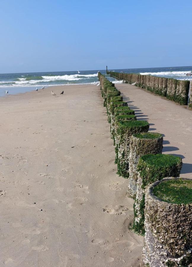 De Notenbalk Aan Zee Bed and Breakfast Vlissingen Exteriör bild
