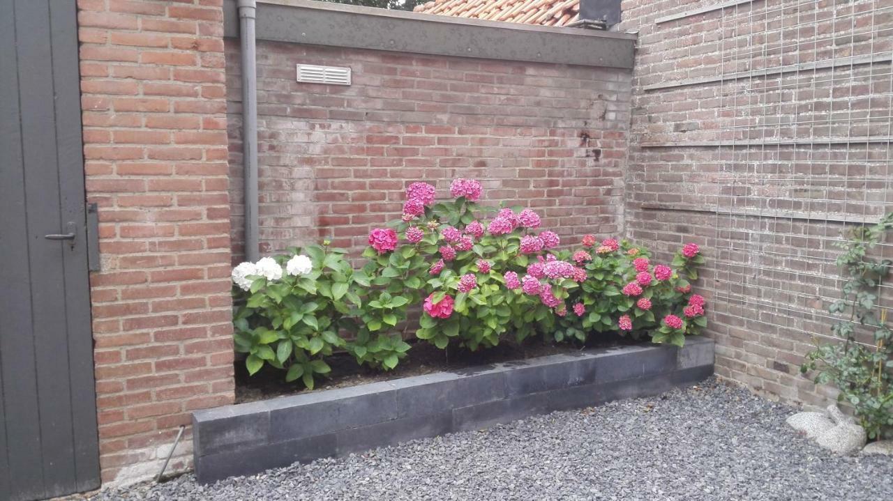 De Notenbalk Aan Zee Bed and Breakfast Vlissingen Exteriör bild